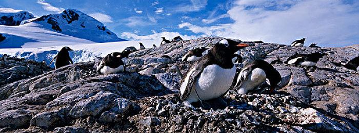 《别跑！美女在追你！》Steam页面上线 支持简繁体中文